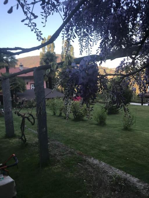 La Tana Alla Costa Di Sessa Villa Exteriör bild